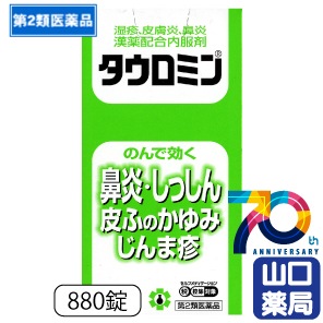 �������ߥ� 880��