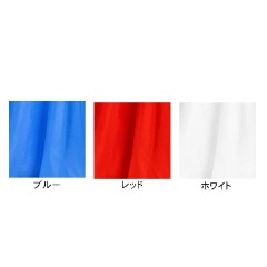 【サイズオーダーレンタル】ルカプリンセスドレス48