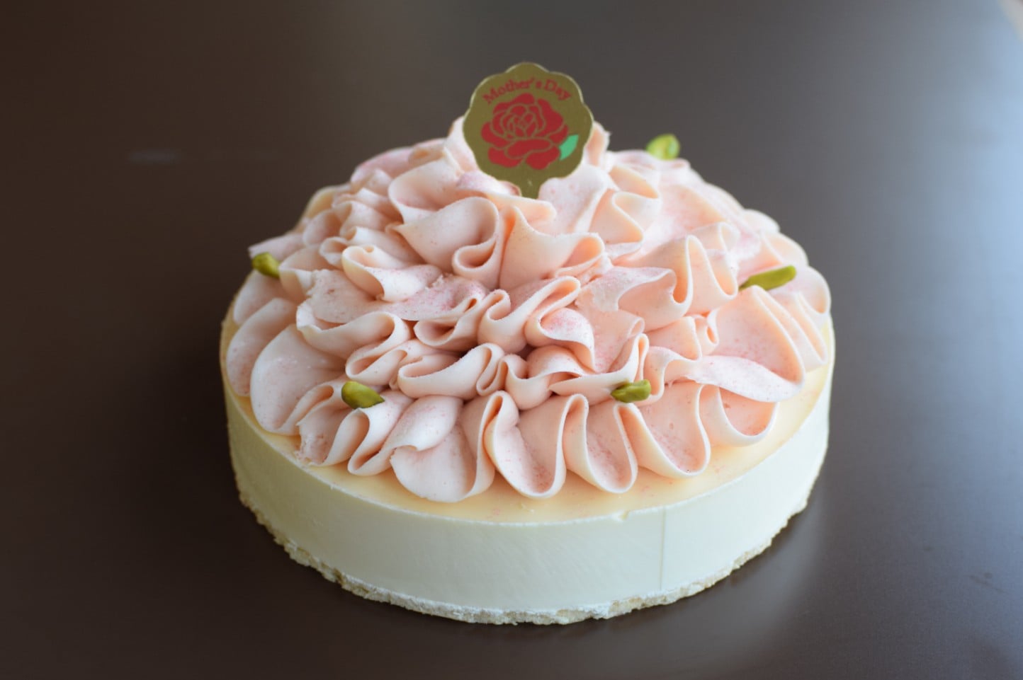 母の日カーネーション 大 （15㎝）