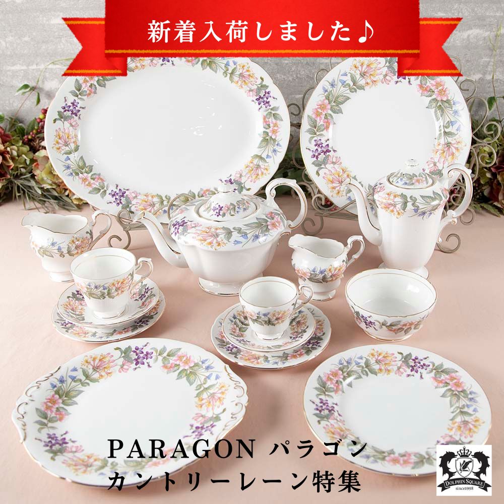 ヴィンテージ イギリスで買い付けた PARAGON パラゴン カントリーレーン ティーポット コーヒーポット カップ＆ソーサー ケーキ皿 トリオ