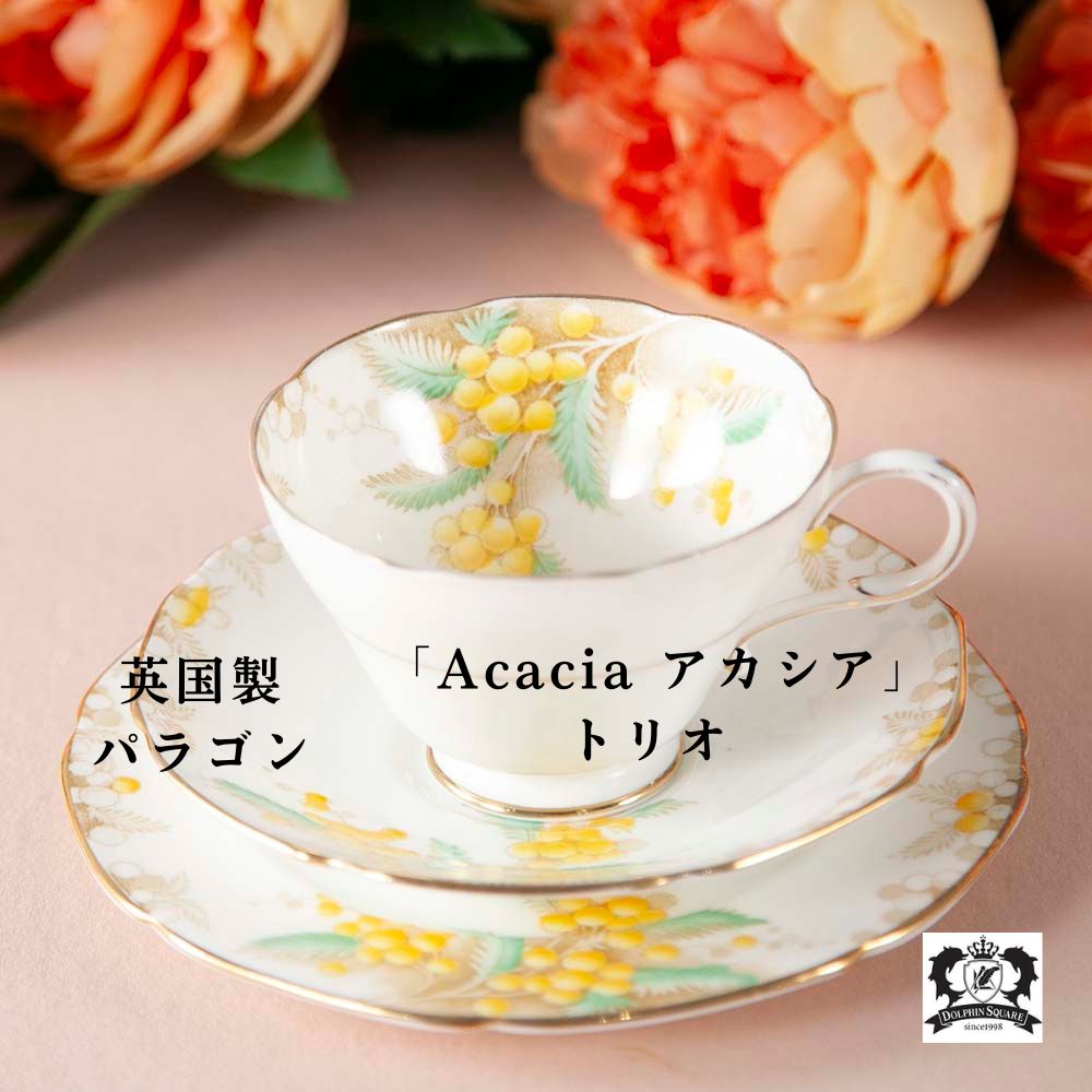 イギリスで買い付けた PARAGON パラゴン ダブル ワラント Acacia アカシア トリオ 
