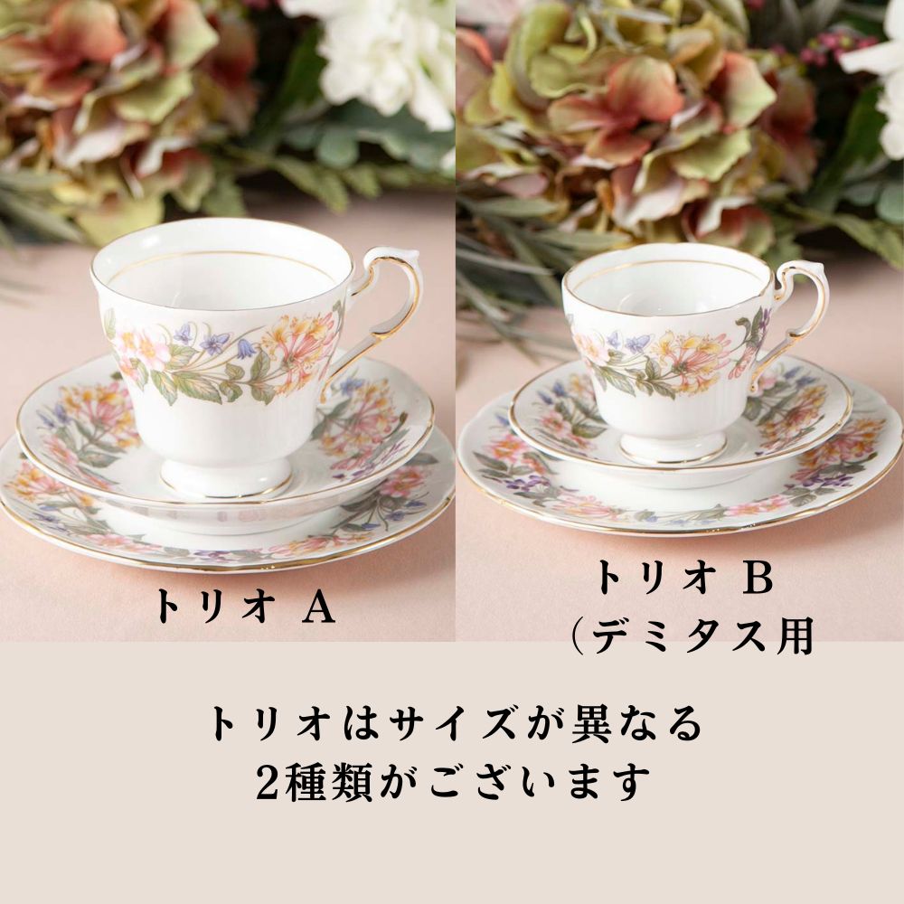 ヴィンテージ イギリスで買い付けた PARAGON パラゴン カントリーレーン ティーポット コーヒーポット カップ＆ソーサー ケーキ皿 トリオ