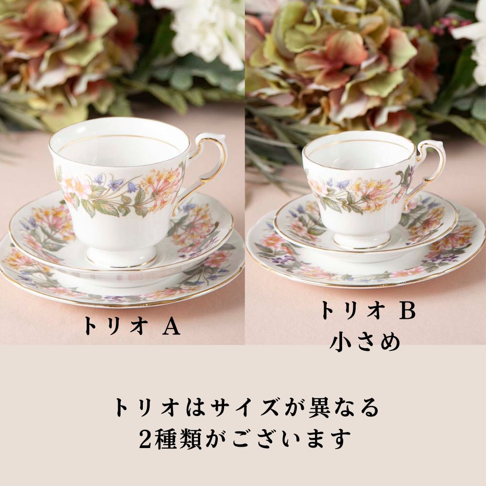 ヴィンテージ イギリスで買い付けた PARAGON パラゴン カントリーレーン ティーポット コーヒーポット カップ＆ソーサー ケーキ皿 トリオ