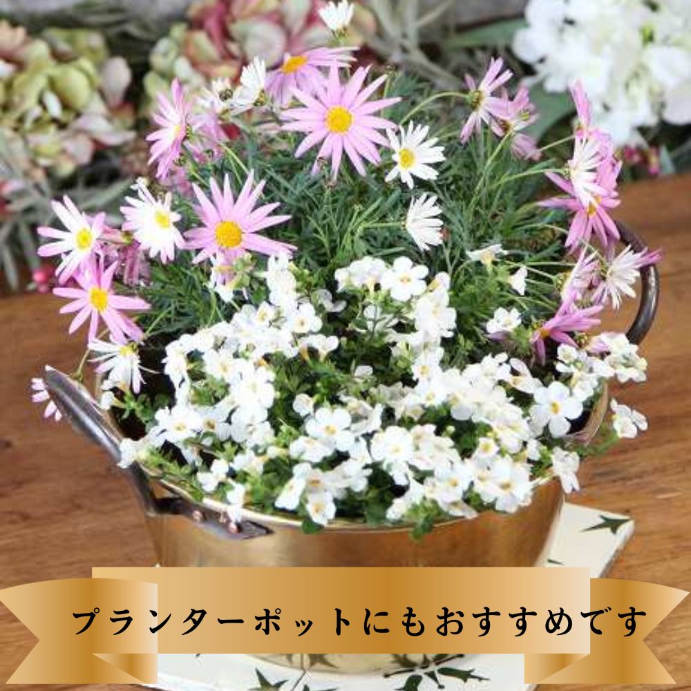 アンティーク イギリスで買い付けた 両ハンドル付き 真鍮製 キャンプやアウトドアにもおすすめ 鍋