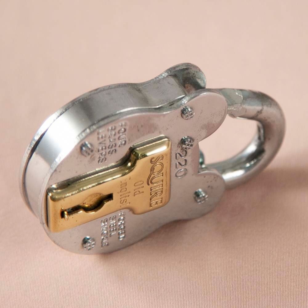 アンティーク イギリスで買い付けた くまの形 真鍮製 SQUIRE squire  スクワイア 220 パドロックキー 南京錠