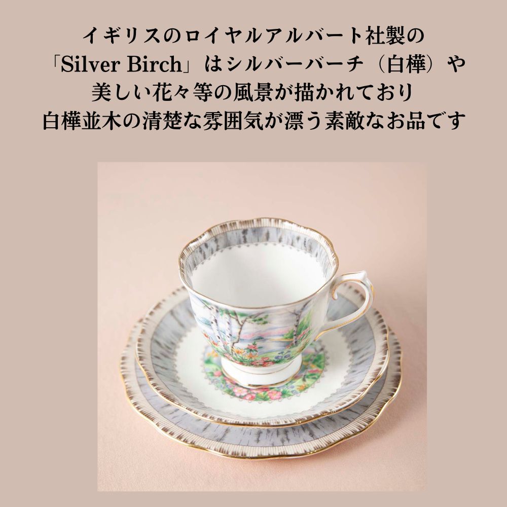 【新着商品】ロイヤルアルバート Royal Albert シルバーバーチ 白樺 トリオ