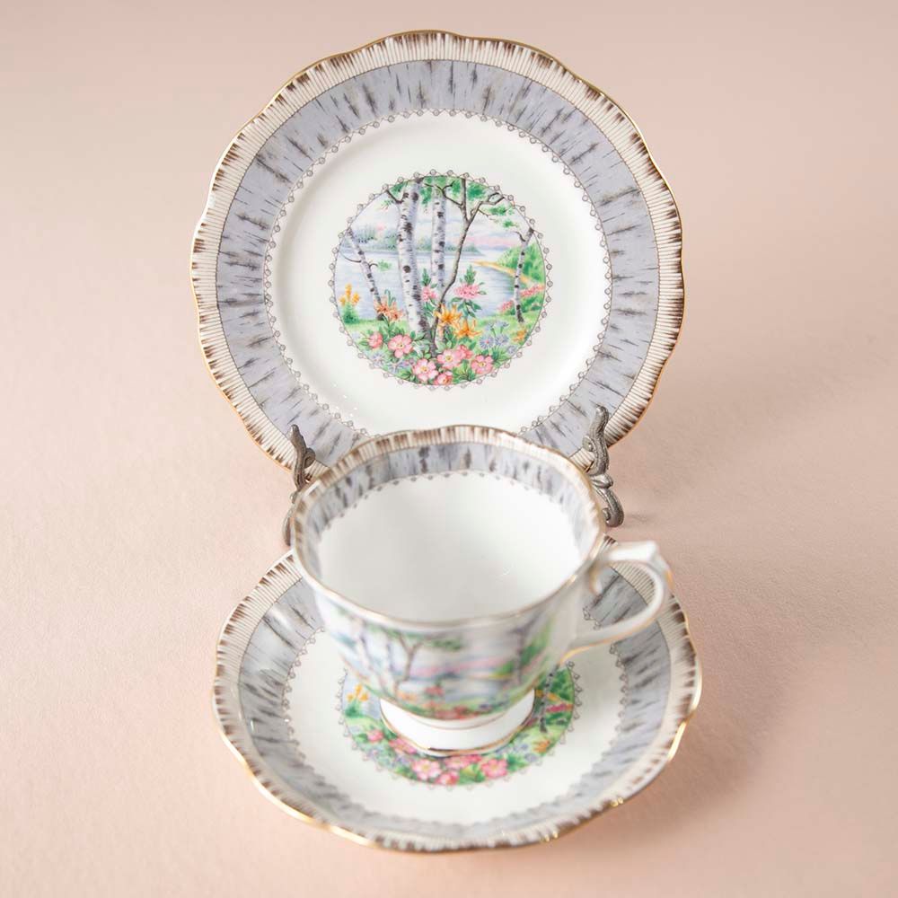 【新着商品】ロイヤルアルバート Royal Albert シルバーバーチ 白樺 トリオ