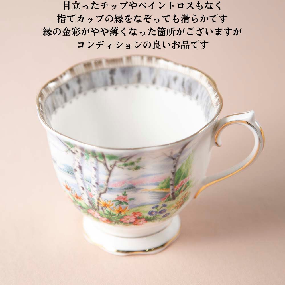 【新着商品】ロイヤルアルバート Royal Albert シルバーバーチ 白樺 トリオ