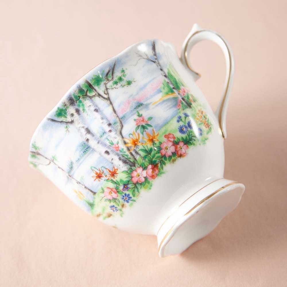 【新着商品】ロイヤルアルバート Royal Albert シルバーバーチ 白樺 トリオ