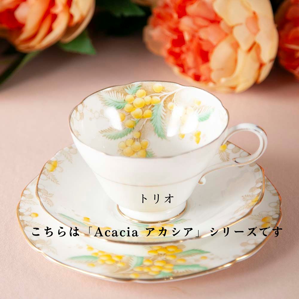 【新着商品】イギリスで買い付けた PARAGON パラゴン ダブル ワラント Acacia アカシア トリオ プレート