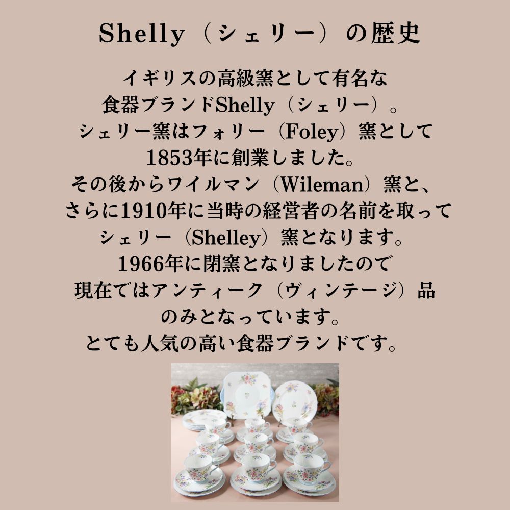 【2026年 新規買い付け品】ヴィンテージ イギリスで買い付けたShelly シェリー Wild Flower ワイルドフラワーシリーズ トリオ BBプレート