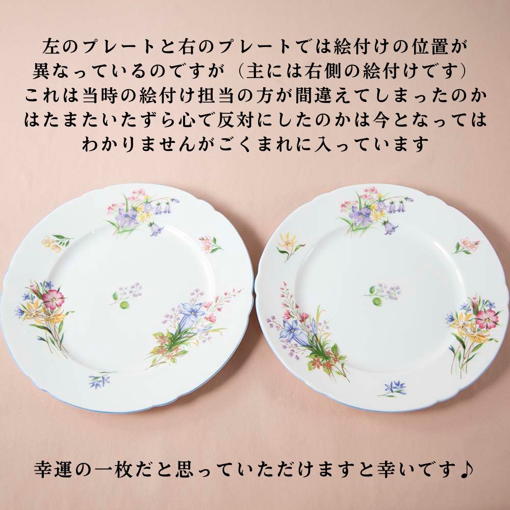 【2026年 新規買い付け品】ヴィンテージ イギリスで買い付けたShelly シェリー Wild Flower ワイルドフラワーシリーズ トリオ BBプレート