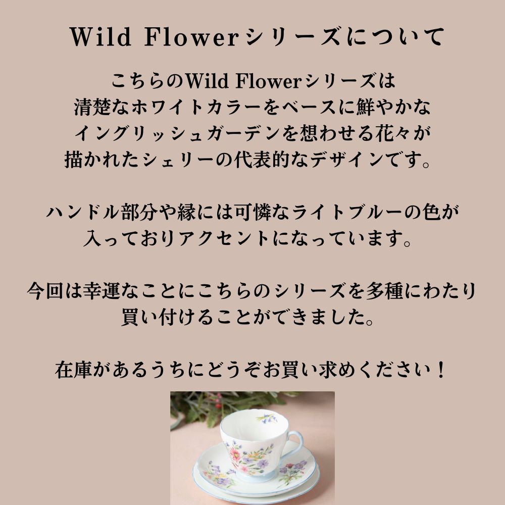 【2026年 新規買い付け品】ヴィンテージ イギリスで買い付けたShelly シェリー Wild Flower ワイルドフラワーシリーズ トリオ BBプレート