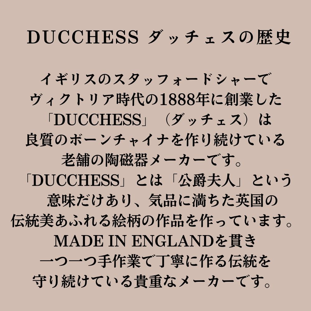 【新着商品】アンティーク イギリスで買い付けた ダッチェス DUCHESS カップ&ソーサー