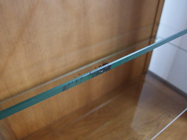 アンティーク イギリスで買い付けた 彫刻の鍵付き ガラスディプレイキャビネット