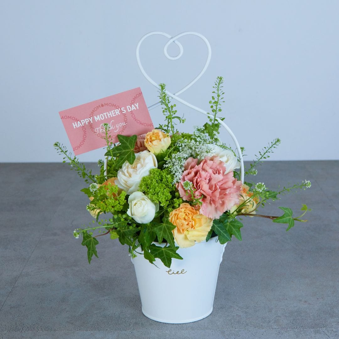 【母の日アレンジメント】ふわり〈100-120サイズ〉