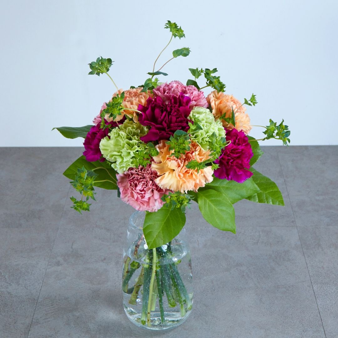 【母の日ブーケ】ダズンカーネーション〈100-120サイズ〉