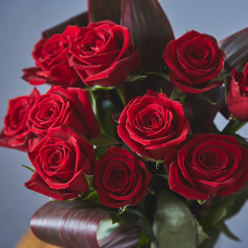 【生花ブーケ】 12本のバラの花束 One Dozen Roses〈100-120サイズ〉