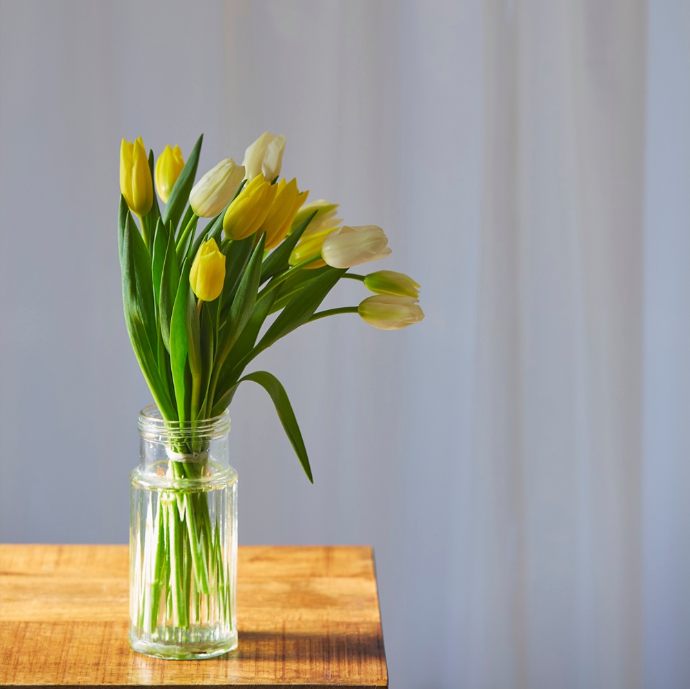 【季節の生花ブーケ】黄色のダズンチューリップ〈100-120サイズ〉