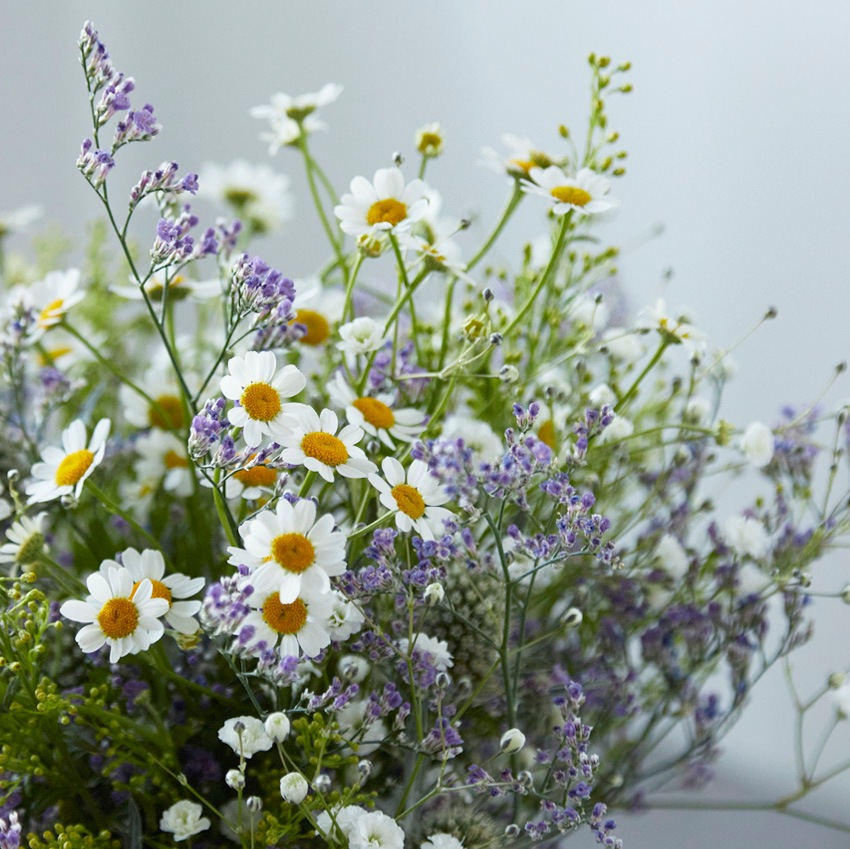 【お供え・お悔やみ生花ブーケ】　シャンペトルブーケ champetre bouquet〈100-120サイズ〉