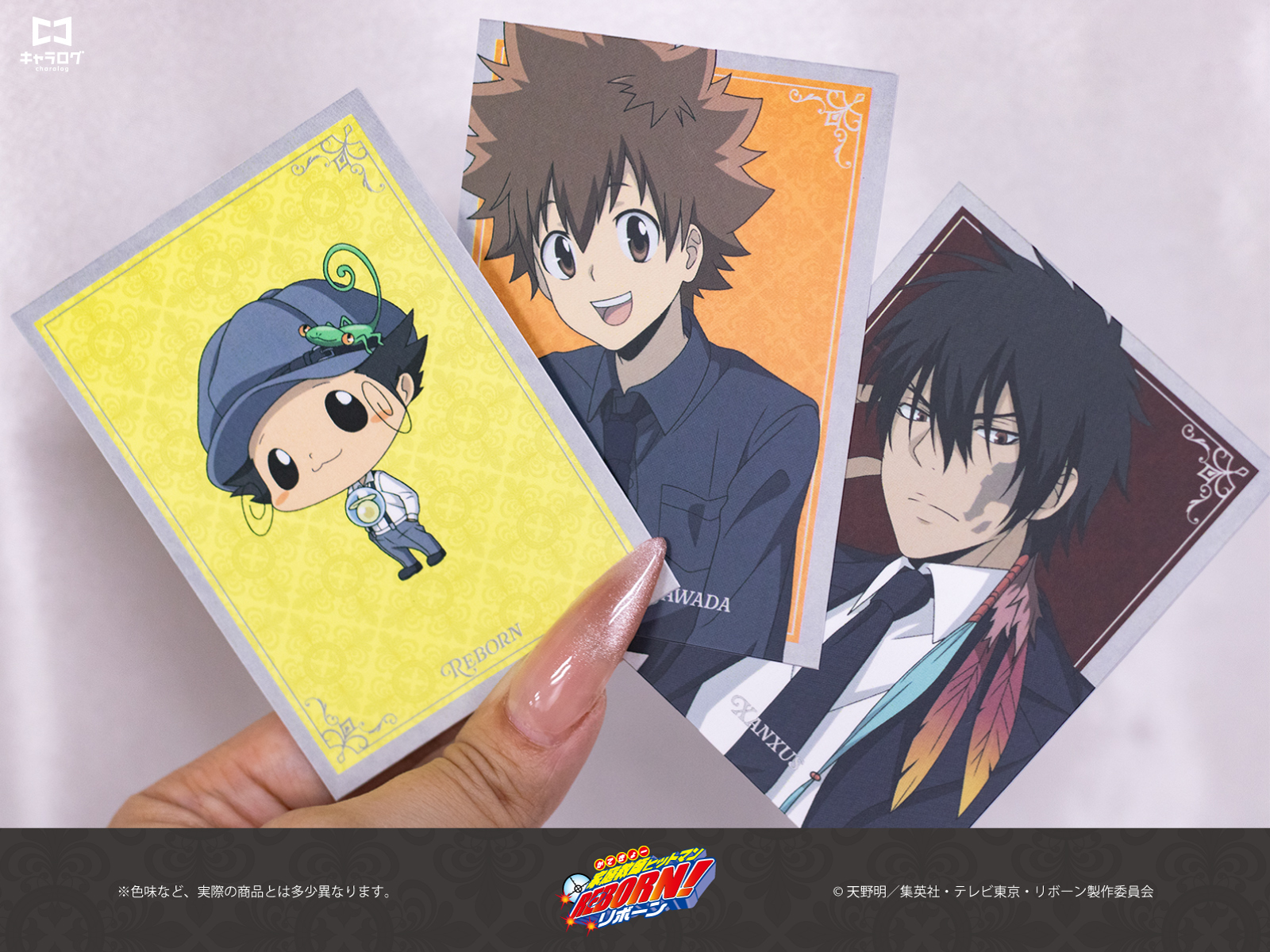 予約販売】 家庭教師ヒットマンREBORN! イラストカードコレクション