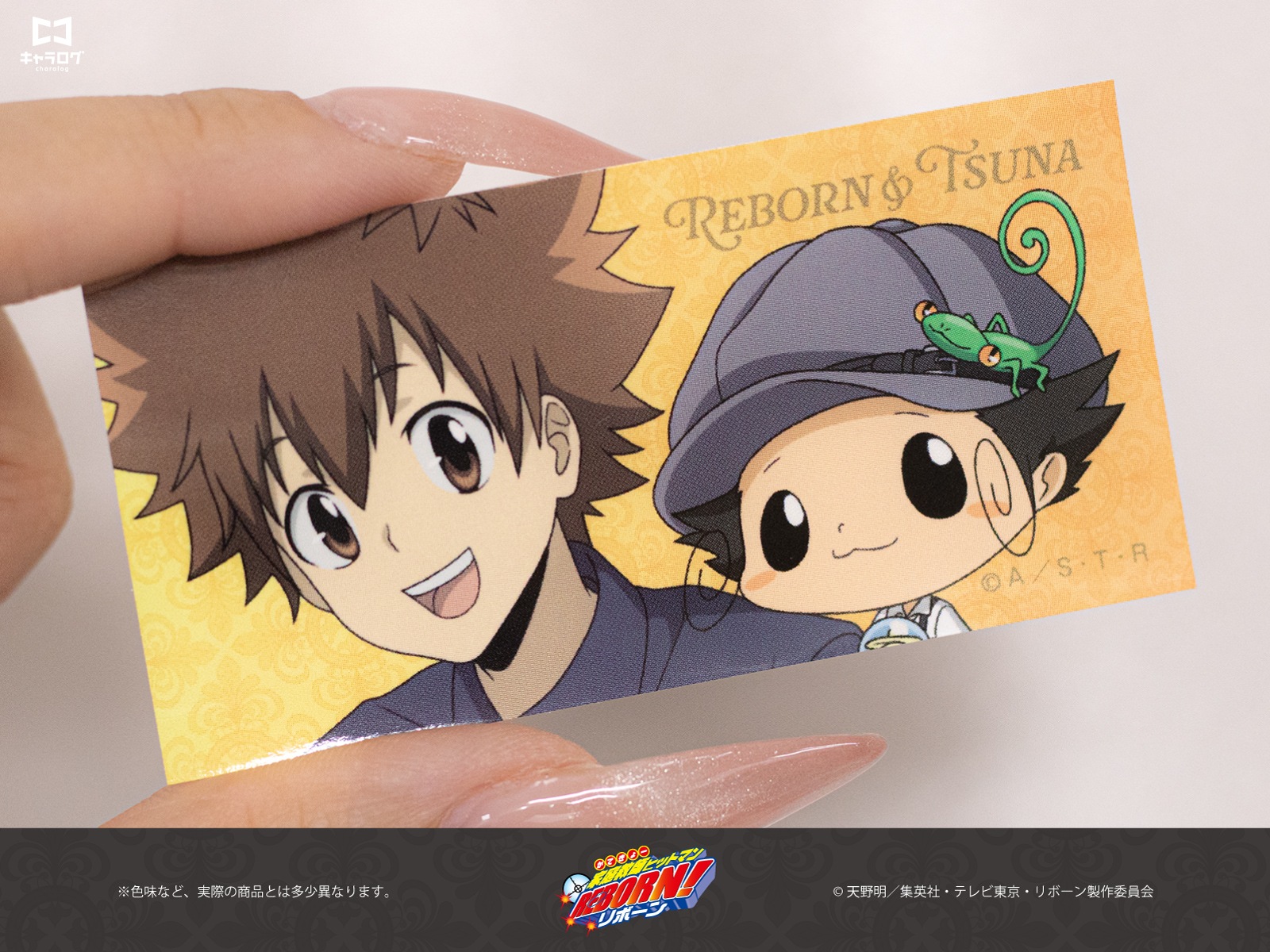 予約販売】 家庭教師ヒットマンREBORN! クリアファイル＆ステッカー