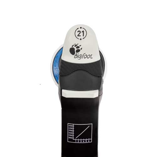 RUPES（ルペス）Bigfoot LHR21 Mark3（Ⅲ） | ポリッシャー | カーディ