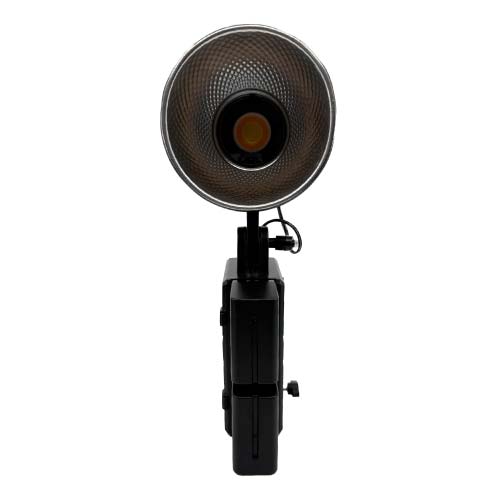 【新品未使用】スコーピオンスティング15p 新品未使用】スコーピオンスティング15p 2025年最新