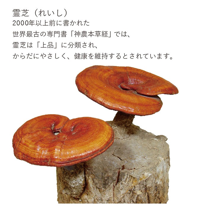 ��� ������ɡ�1.2g��100��