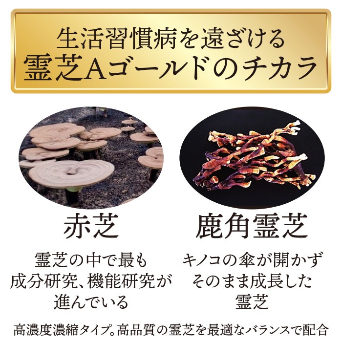 ��� ������ɡ�1.2g��100��