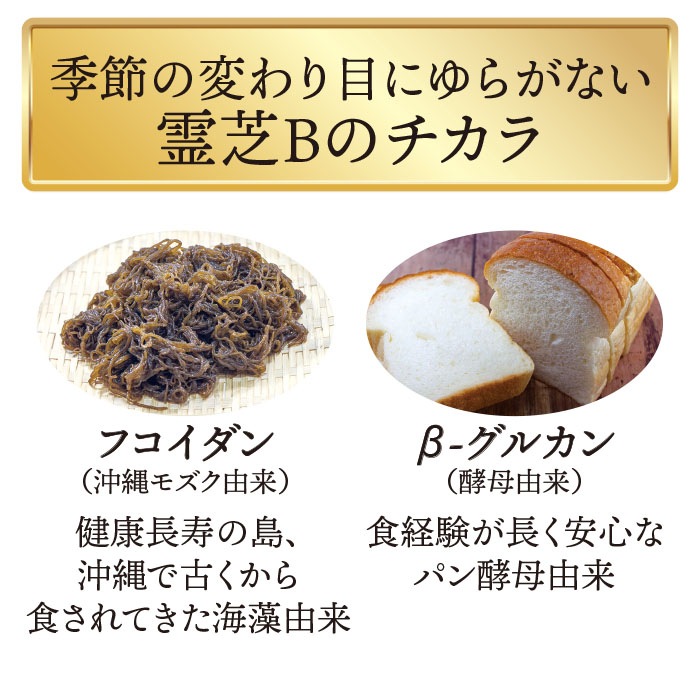 ��� ������ɡ�1.2g��100��