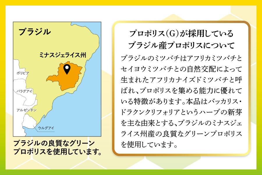 �ץ��ݥꥹ��G��