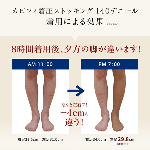 �����ꥢ�� cabifi ���ӥե��ʳ��尵�ڥѥ�ƥ����ȥå��� 140�ǥˡ����