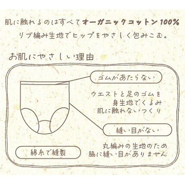 ˥ååȥ 100 å硼 Puccele  M/L/LL