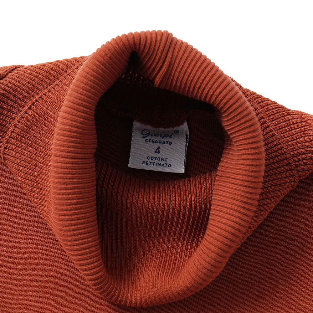 GICIPI ジチピ 2502A TIGRE Cotone Soft ティーグレ タートルネック リラックスフィット ニットソー Mattone