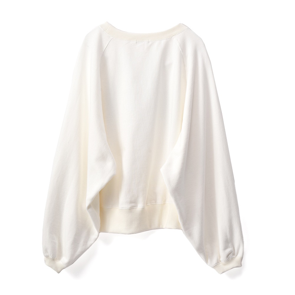 PROTAGONISTA プロタゴニスタ ロゴ スウェットプルオーバー PNT-CS-22 WHITE×GREEN