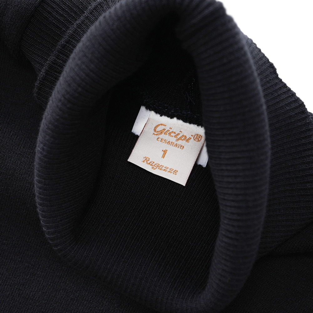 GICIPI ジチピ 2312A ANANAS アナナス COTONE SOFT ソフトコットン タートルネック ロングスリーブニットソー D.NAVY