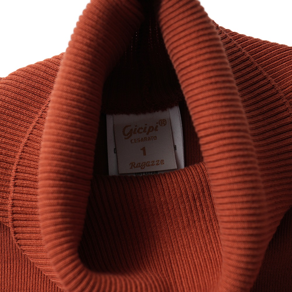 GICIPI ジチピ 2514A ANANAS Cotone Soft アナナス タートルネック ジャストフィット ニットソー Mattone