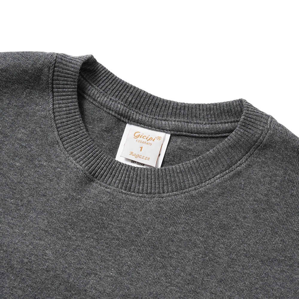 GICIPI ジチピ 2513A FRAGORA Cotone Soft フラーゴラ クルーネック ジャストフィット ニットソー Carbone