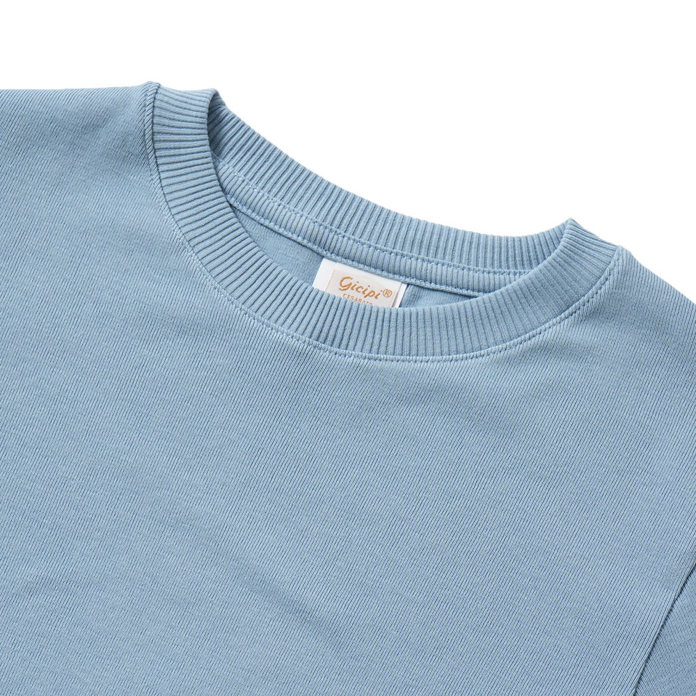 GICIPI ジチピ 2513A FRAGORA Cotone Soft フラーゴラ クルーネック ジャストフィット ニットソー Lazio