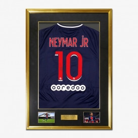 �ͥ��ޡ���ľɮ����������PSG20/21�ۡ����˥ե����������ե졼��