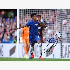 サッカー直筆サイン入りフォト・写真を販売 - THE DUGOUT