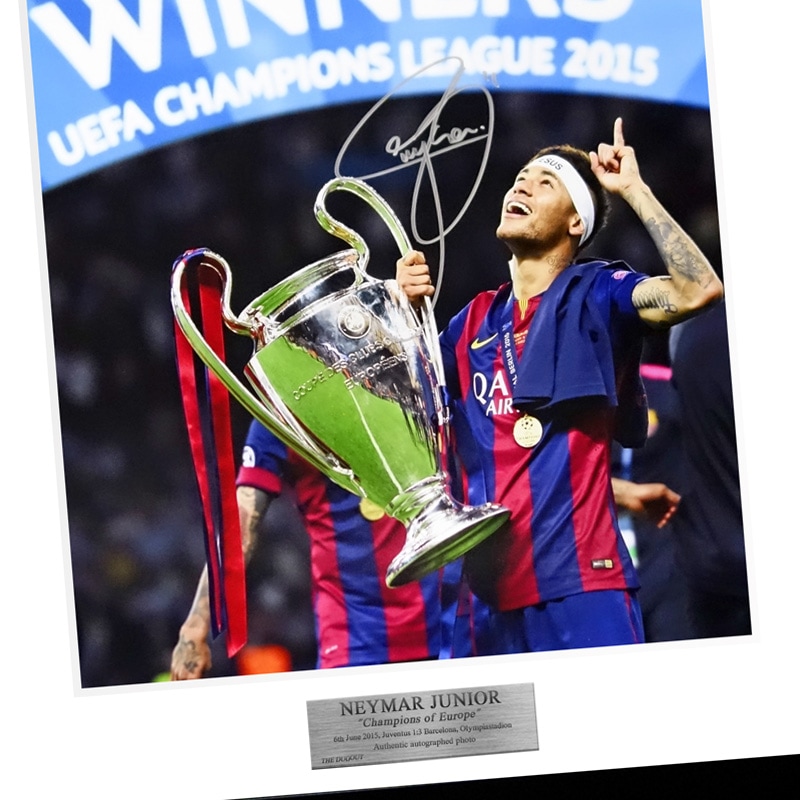 �ͥ��ޡ���ľɮ����������Х륻����14/15�ե��������ե졼�ୢ