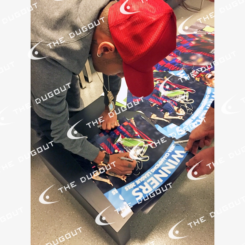 �ͥ��ޡ���ľɮ����������Х륻����14/15�ե��������ե졼�ୢ