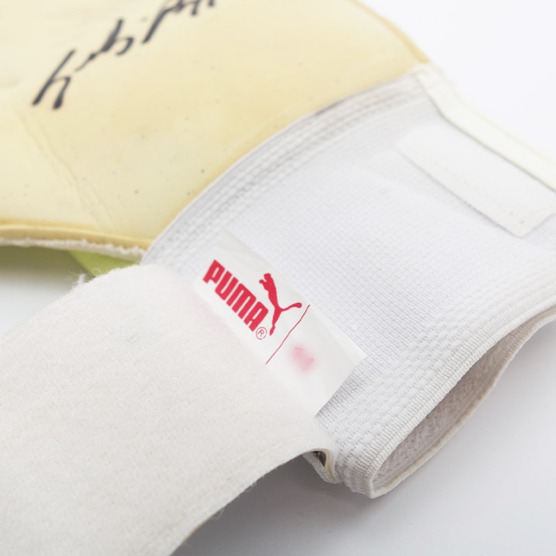 �֥åե���ľɮ����������»���19/20��������