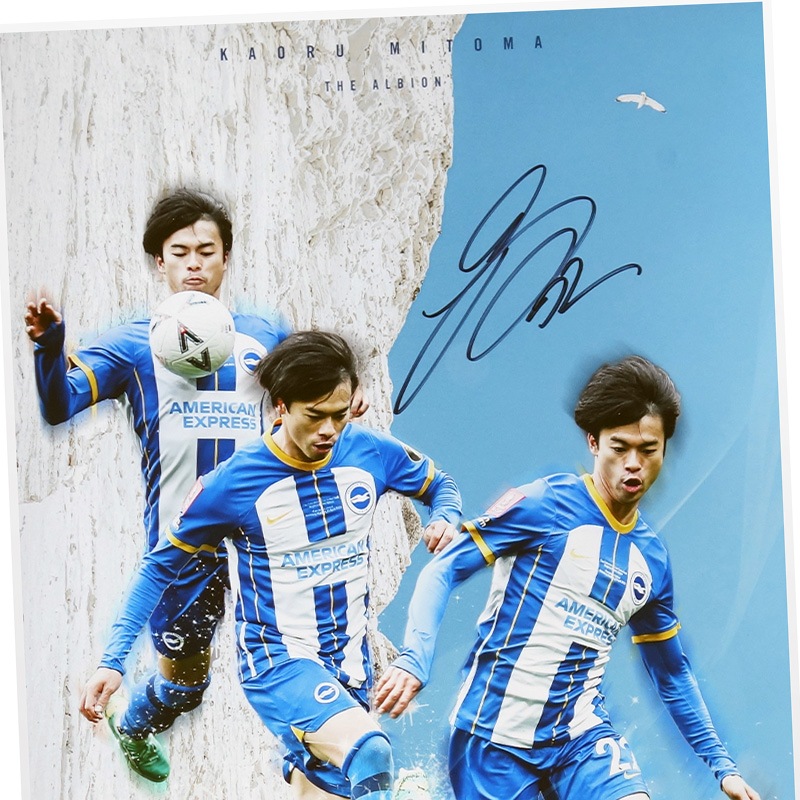 [��������22��] ������ ľɮ���������ꥰ��ե��å������� "The Albion"