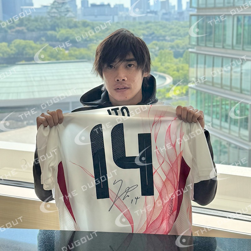 ������� ľɮ����������������ɽ2024����������˥ե�����