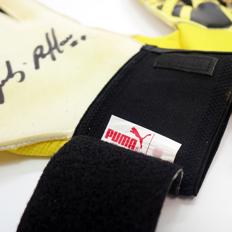 �֥åե���ľɮ����������»���19/20��������