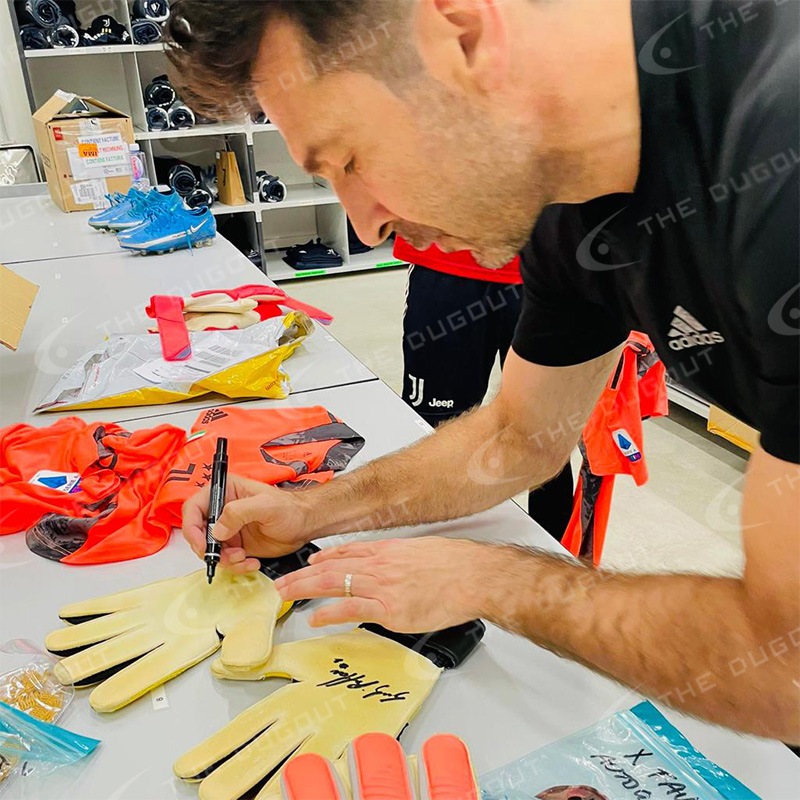 �֥åե���ľɮ����������»���19/20��������