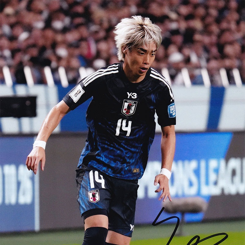 ������� ľɮ����������������ɽ2024�ե��� (A4)